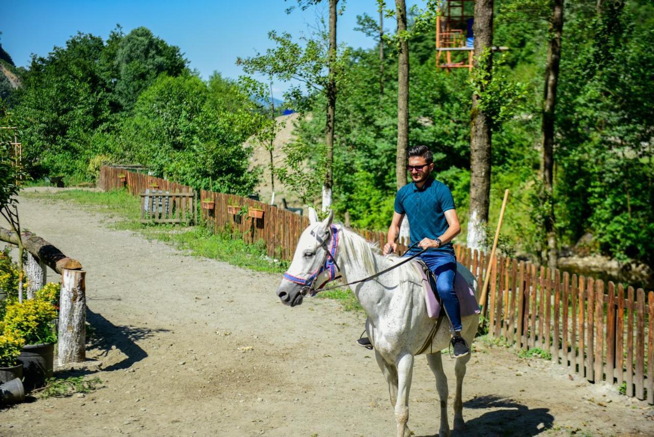 Naturkoy Sapanca Sakarya  Extérieur photo